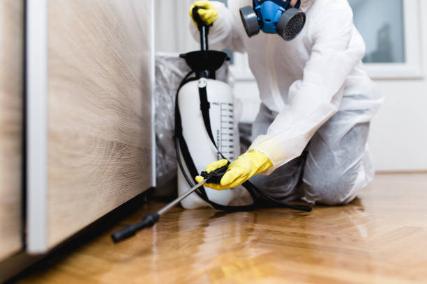 Best Wasp Removal Services  in Livingston, TN