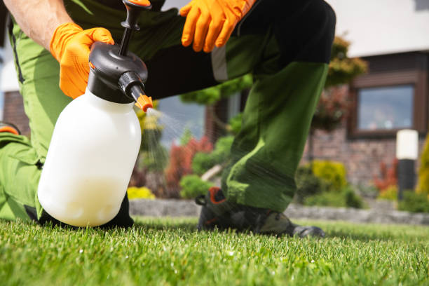 Best Best Pest Control Companies  in Livingston, TN