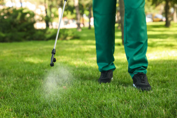 Best Pest Removal Services  in Livingston, TN