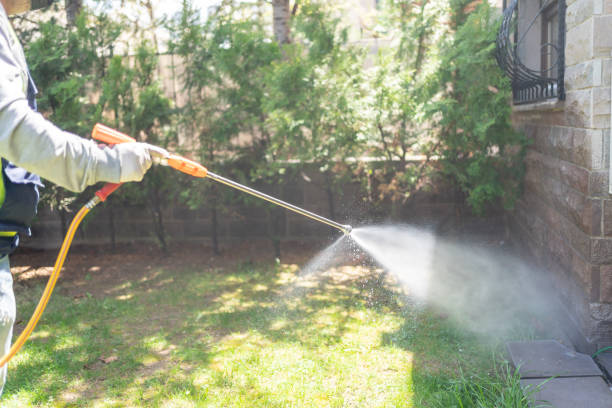 Best Residential Pest Control  in Livingston, TN