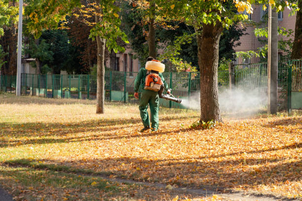 Best Mosquito Control Services  in Livingston, TN
