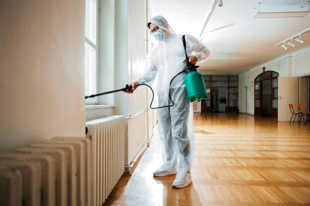 Wasp Removal Services in Livingston, TN